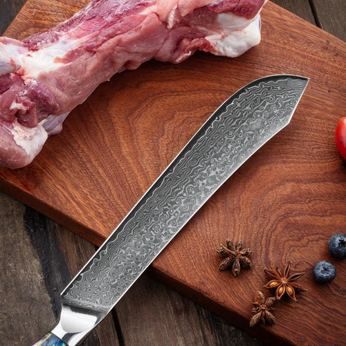 9-Piece Damascus Steel Chef Knife Set with 67-Layer Construction Ambidextrous Shell Handle Sharp Cooking Knives for Home Kitchen